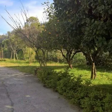 Casa Vancaza Chiara * Guardavalle